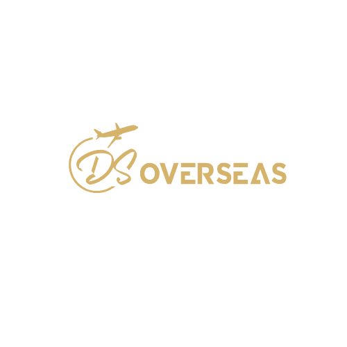 DS Overseas logo